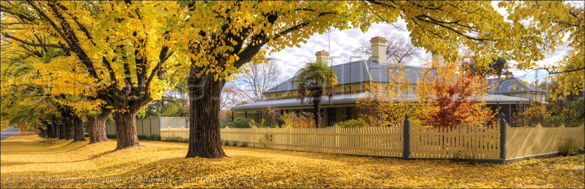 Peter Bellingham Photography Beechworth - VIC H (PBH3 00 34579)